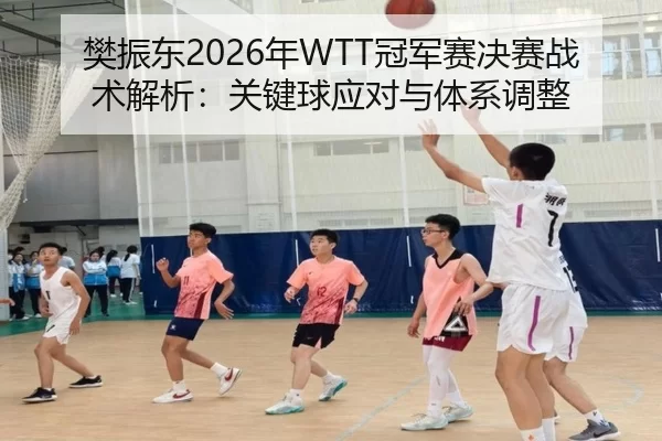 樊振东2026年WTT冠军赛决赛战术解析：关键球应对与体系调整